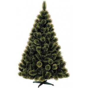 Сосна с расщепленными концами "Диана" Сосна с расщепленными концами "Диана"